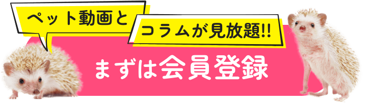 ペット動画とコラムが見放題！まずは会員登録