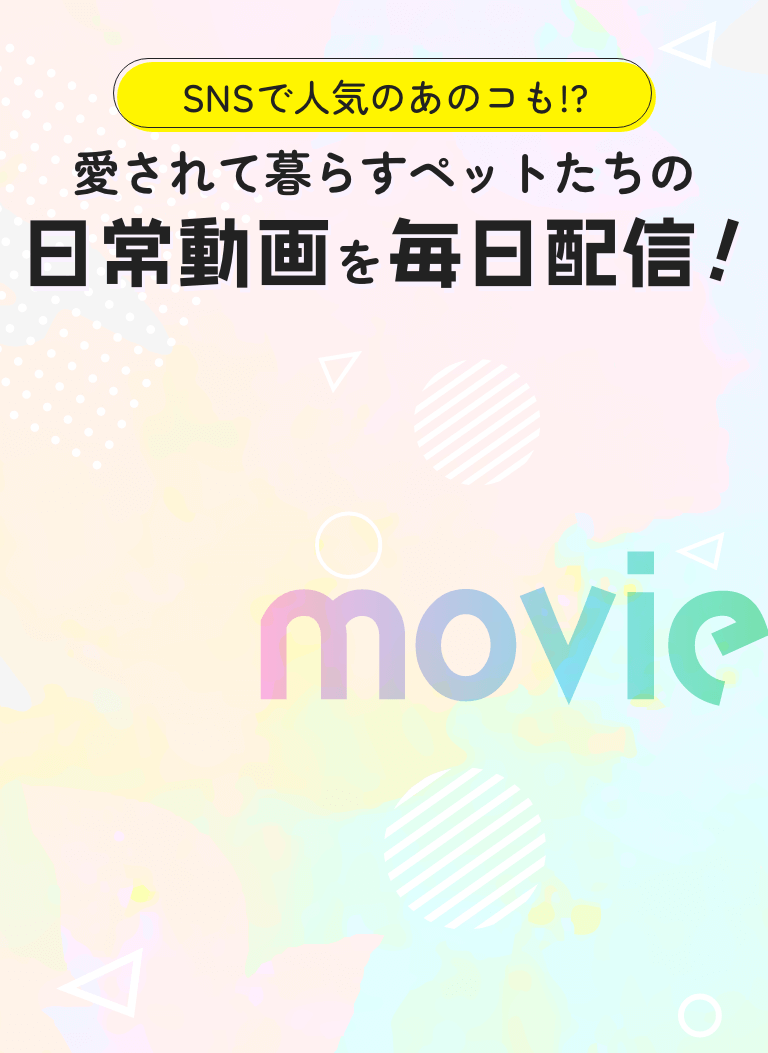 SNSで人気のあのコも！？愛されて暮らすペットたちの日常動画を毎日配信！