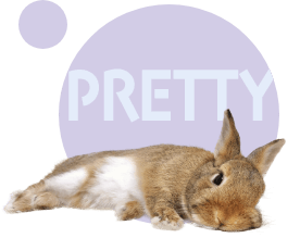 pretty