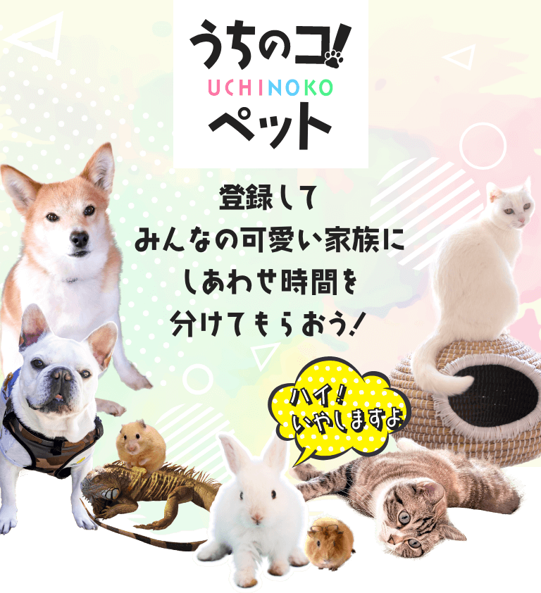 うちのコ！ペットに登録して、みんなの可愛い家族にしあわせ時間を分けてもらおう！