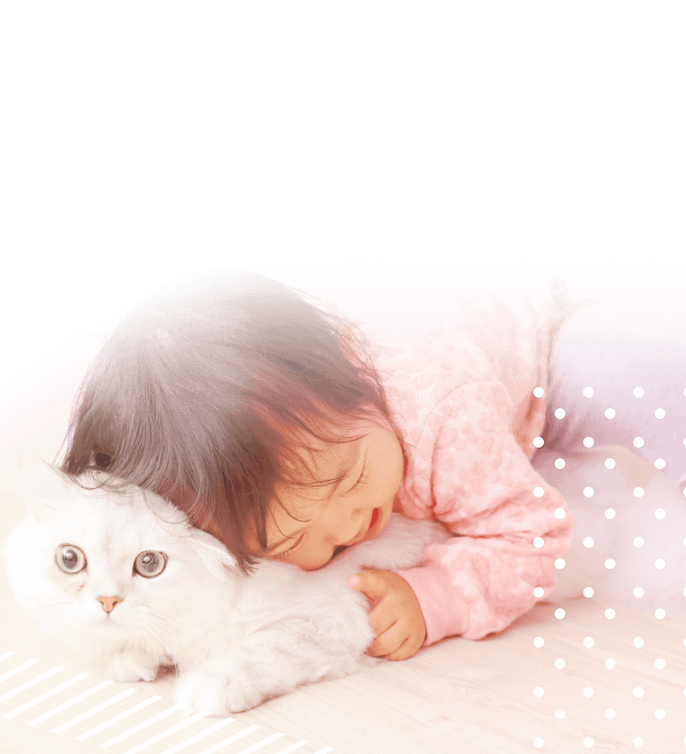 愛に満ちたドラマが毎日生まれています！
